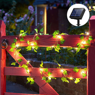 string lights with leaves on a fence